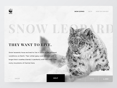 UI | WWF Snow Leopard black homepage leopard snow ui white wwf