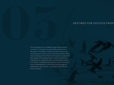 VistaBlue // The Only Campaign graphic design ui ux web design website