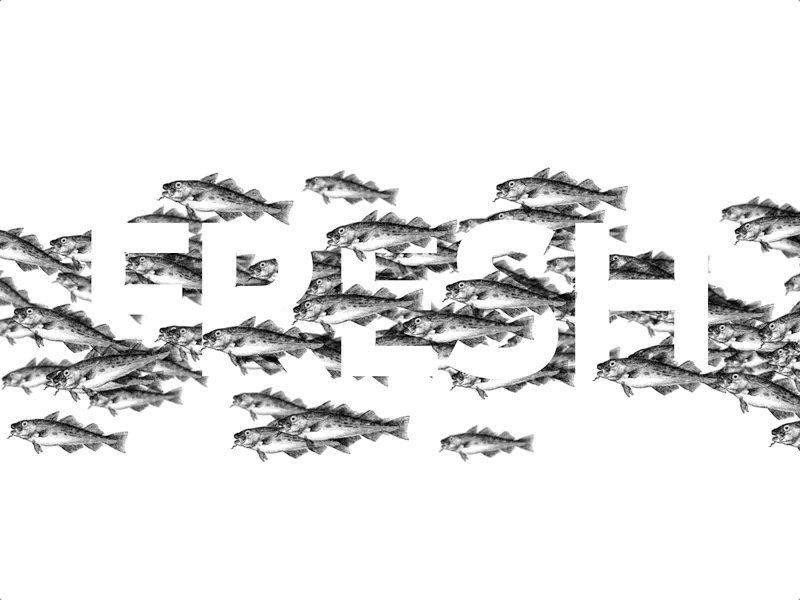 scroll text reveal animation cod fish scroll typography