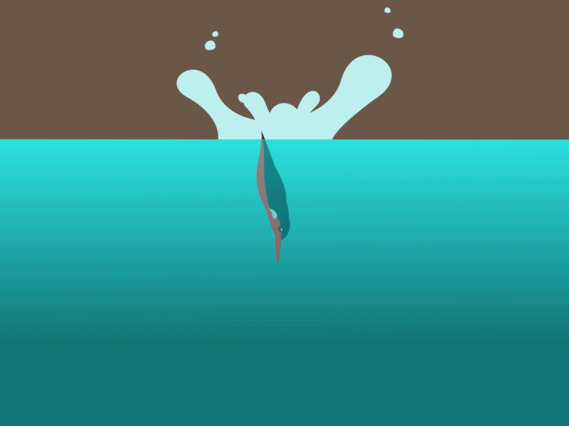 Kingfisher Dive animal animation bird dive feather king fisher kingfisher nature swim water