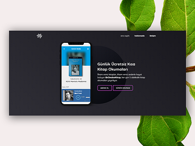 Audio Book Landing Page landing page ui web design webflow