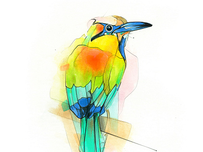 Aves birds copicmarkers drawing illustration markers parrot