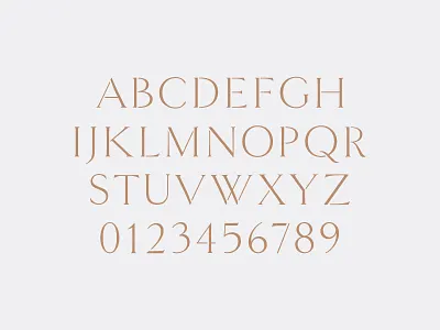 Goldenstaff christmas custom type font serif type design typography