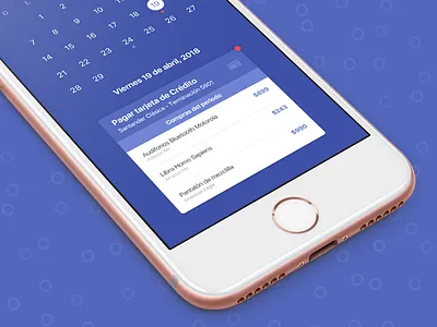 Payment iPhone App app calendar card ios iphone pay payment