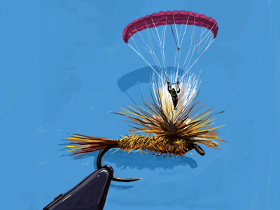 Delicate Presentation dry fly fishy art fly fishing fly fishing art flytying