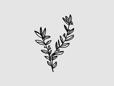 Olive Branch detroit freelance graphic design illustration illustrator indianapolis lagom creative michigan sketch