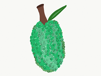 Jackfruit fruit green jackfruit tropical