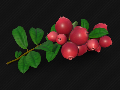 Lingonberry 3d blender food lingonberry nature plants sketchfab