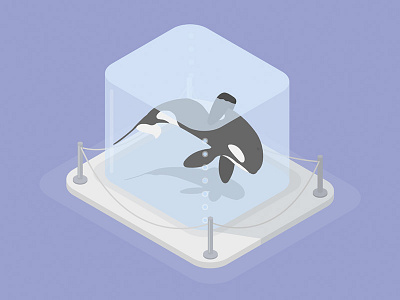 Whale captivity animal captivity illustration vector vectorart whale