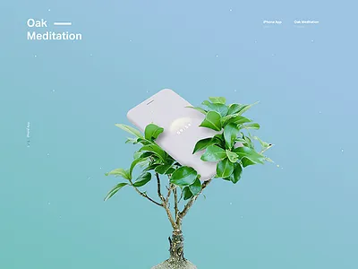 Oak Meditation - Part 1 breathing iphone8 iphonex meditation mobile ui oak ui ui design user interface ux zen