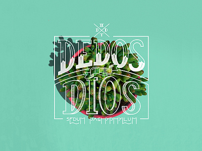Suculentas! calligraphy handlettering identity lettering logo logotype pen pilot type typeface typography