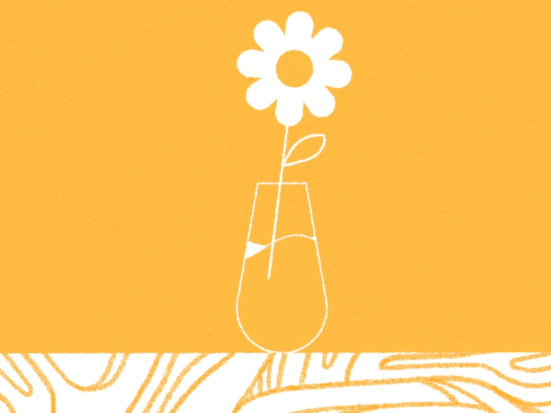 Flower 2d after effects animation flower gif illustration loop mograph motiongraphics texture vase water