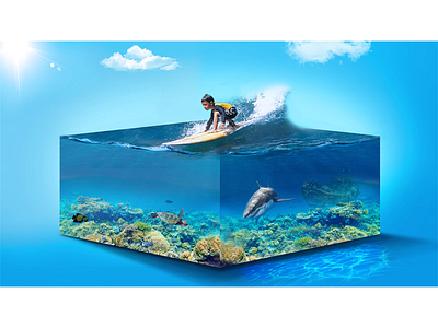 冲浪小子（水族馆）