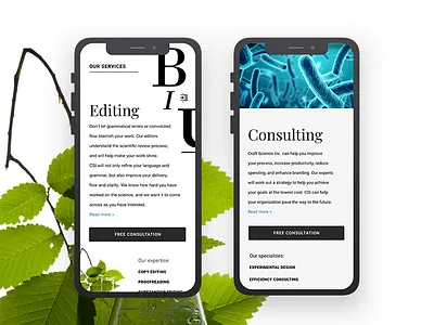 mobile version mobile version mobile website page