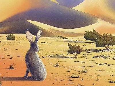 Death Valley National Park animal death desert dune rabbit rocks valley vegetation