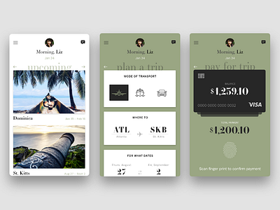 Travelling In Style booking cards caribbean finger print flying payment simple transportation travel typography ui design ux design