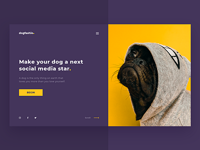 Dog Fashion decom dog fashion media pet purple social star ui yellow