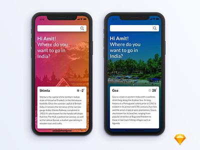 Dribbble application ios iphonex mobile travel