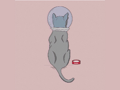 Gato Especial cat pink space