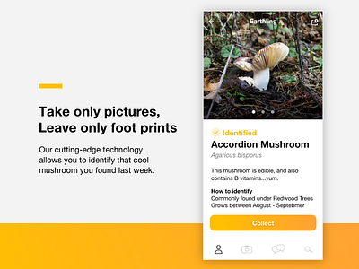Earthling app earth marketing mobile ui yellow