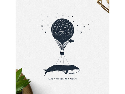 Have a whale of a week! adventure badge creative double explore exposure grunge logo ocean typography wanderlust whale