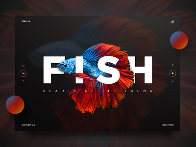 Fish UI art beauty design fish landing nature page photography product ui ux website