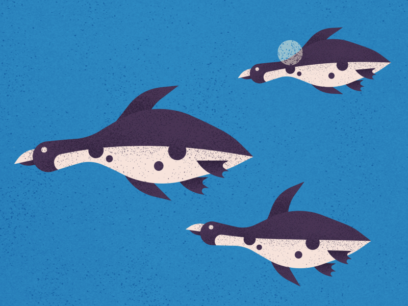 Browse thousands of Cape Animation images for design inspiration | Dribbble