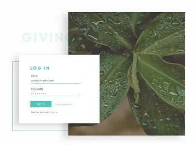 Log In log in photo shadow sign up