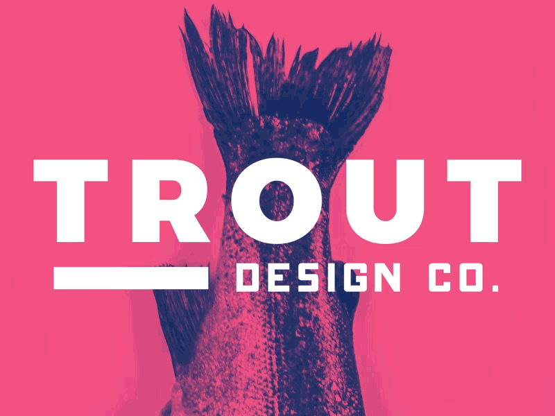 Trout Design Co. Ad ad animation branding color design digital fish gradient logos map neon trout