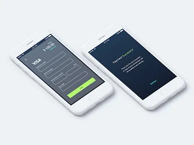 CC Form + Payment blue credit card form green payment