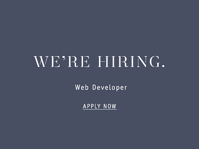 Web Developer back end branding developer front end full stack hiring jobs san francisco web design web developer