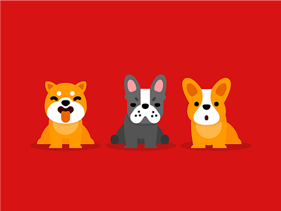 Three dogs bulldog corgi dog inu shiba