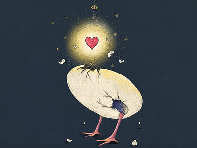 Valentine's Day anatomy bird egg heart light love magic nature