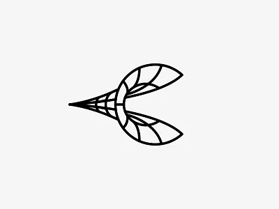 Letter C black hole c letter c logo monogram warp hole