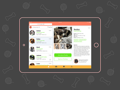 Daily UI 006 User Profile adoption daily ui daily ui challenge dogs ipad ui ui design visual design website