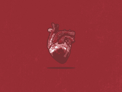 Valentine's Day anatomy blood corazon flat heart holiday illustration illustrator midwest red texture valentines