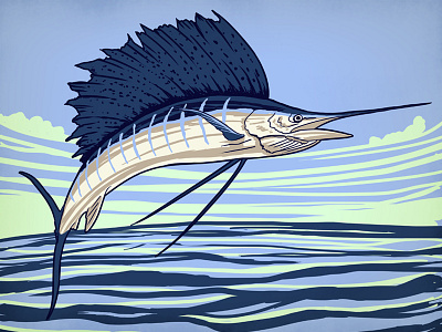 Sailfish sketch fishing offshore photoshop sailfish sketch