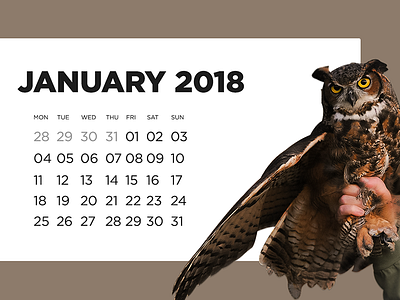 DailyUI 038 Calendar 038 calendar dailyui owl ui ux