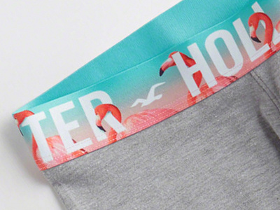 Flamingo Waistband apparel flamingo fun hollister underwear waistband