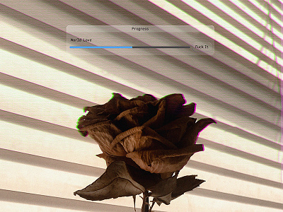 Valentines photography user interface valentines