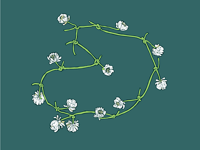 Daisy Chain clover floral flower spring