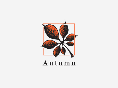 Autumn autumn fall hand drawn leaf leafs logo logo design