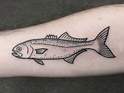 Fish Ink bluefish fish illustration ink linework stipple tattoo