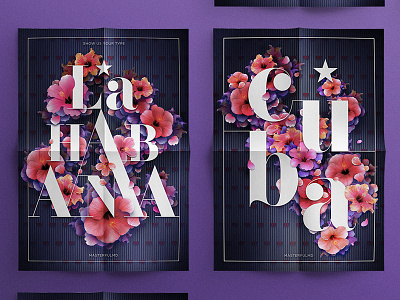 La Habana Cuba x Show Us Your Type digital illustration poster type