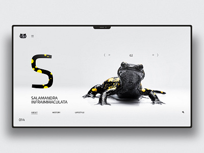 Salamandra design landingpage ui uidesign ux uxdesign website