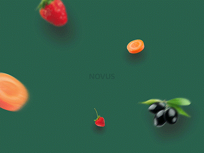 Novus green motion simple ui vegetables web