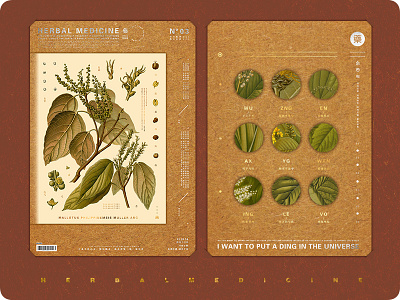 HERBAL MEDICINE poster