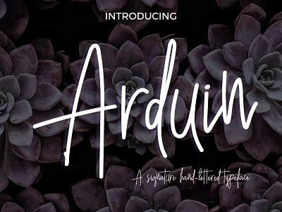 Arduin Script arduin fashion font hand handwriting handwritten modern script signature typeface