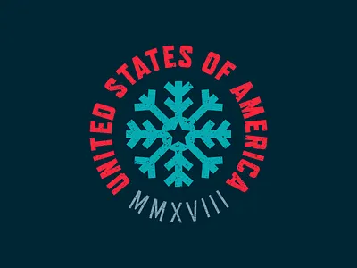 USA Winter Olympics Badge badge flat icon lockup logo minimal olympics simple snow united states usa winter