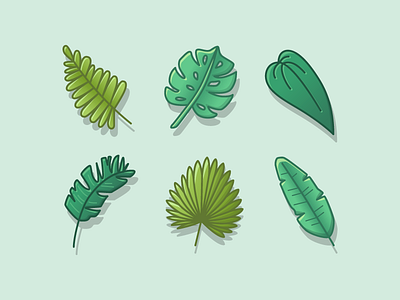 Palm Leaves green leaf leafs leaves palm tropic